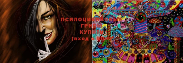 таблы Вяземский