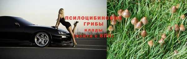 таблы Вяземский