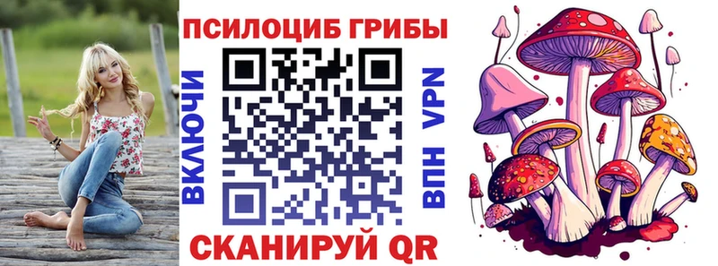 Галлюциногенные грибы MAGIC MUSHROOMS  Купить  Краснозаводск 
